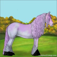 Horse Color:Watercolor Chestnut Ice