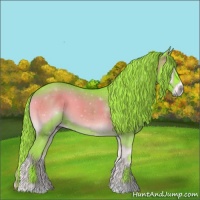 Horse Color:Watercolor Liver Red Onyx 