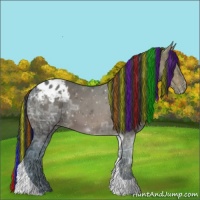 Horse Color:Painted Brown Ice Tobiano Appaloosa 