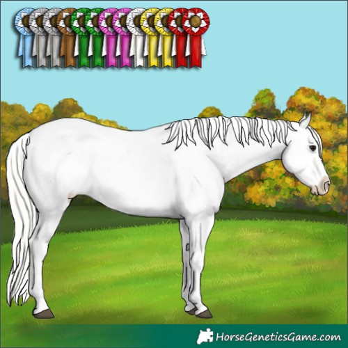 Horse Color:Silver Smoky Grullo Appaloosa 