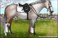 Horse Color:Gray Bay