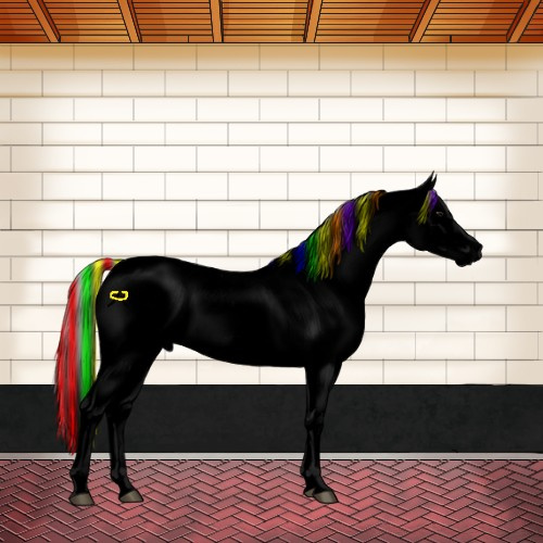 Horse Color:Void Painted Silver Grullo Splash Tobiano Appaloosa 