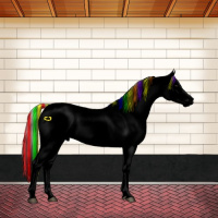 Horse Color:Void Painted Silver Grullo Splash Tobiano Appaloosa 