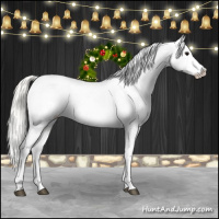 Horse Color:Silver Grullo Appaloosa 
