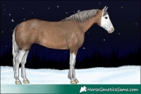 Horse Color:Silver Brown Dun Splash 