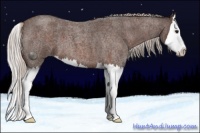 Horse Color:Silver Brown Roan Splash 
