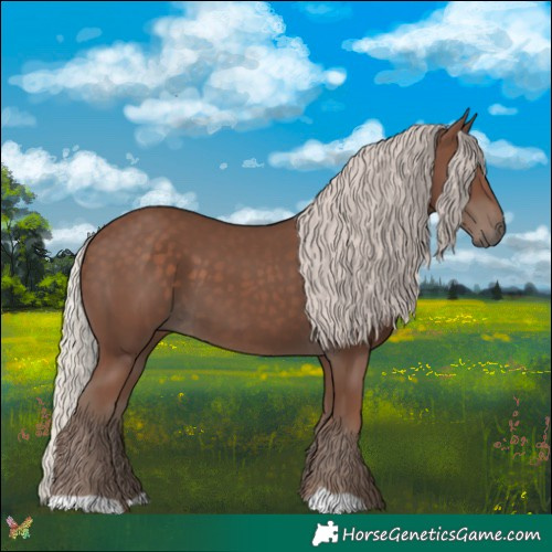 Horse Color:Silver Black