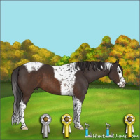 Horse Color:Buckskin Splash Tobiano 