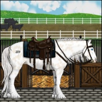 Horse Color:Cremello Splash Appaloosa 