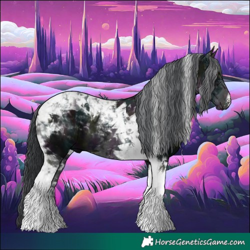 Horse Color:Midnight Black Tobiano 