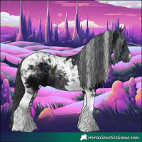 Horse Color:Midnight Black Tobiano 