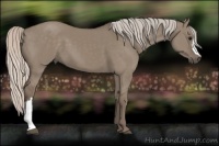 Horse Color:Silver Grullo