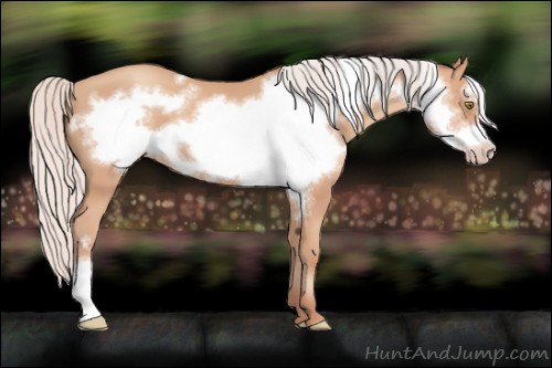 Horse Color:Silver Amber Champagne Frame 