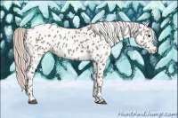 Horse Color:Silver Grullo Near Leopard 