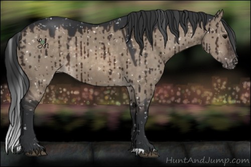 Horse Color:Brown Dun Snowflake Varnish Brindle