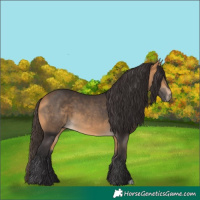 Horse Color:Buckskin 