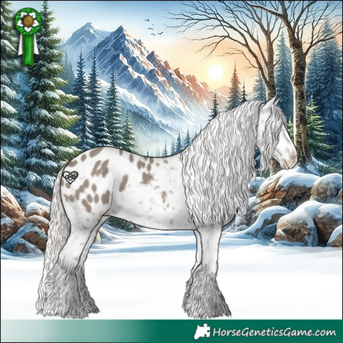 Horse Color:Silver Grullo Appaloosa 