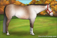 Horse Color:Gray Amber Champagne Tobiano Rabicano