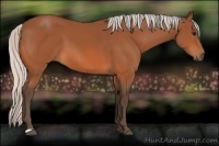 Horse Color:Silver Bay 