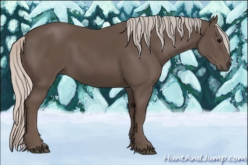 Horse Color:Silver Black 