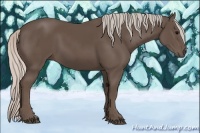 Horse Color:Silver Black 