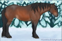 Horse Color:Bay Roan