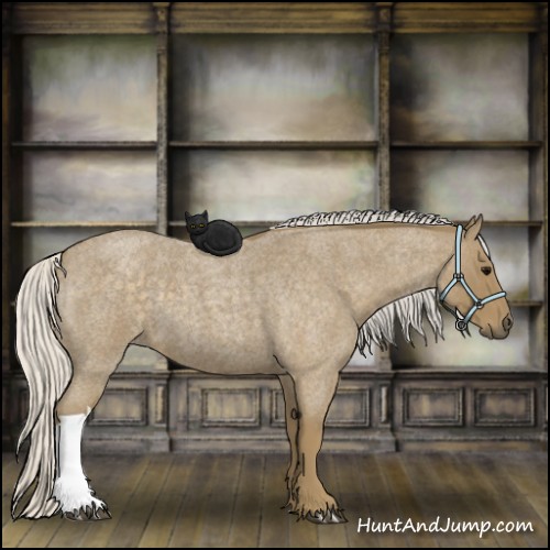 Horse Color:Silver Smoky Blue Roan 