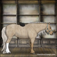 Horse Color:Silver Smoky Blue Roan 
