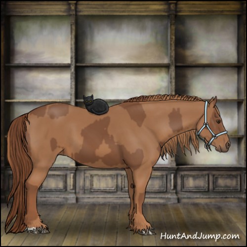 Horse Color:Chestnut  and Chestnut 