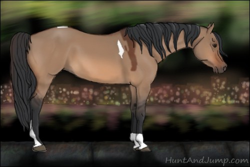 Horse Color:Brown Dun Tobiano 