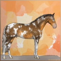Horse Color:Gray White Spotted Silver Classic Cream Champagne Tobiano Rabicano