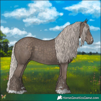 Horse Color:Silver Black 