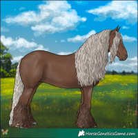 Horse Color:Silver Black 