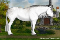 Horse Color:Gray White Spotted Grullo Tobiano  and Gray White Spotted Classic Champagne Dun 