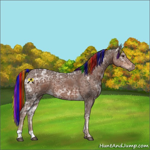Horse Color:Painted Liver Chestnut Ice