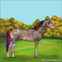 Horse Color:Painted Liver Chestnut Ice