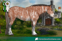 Horse Color:Bay Sabino Appaloosa Rabicano  and Bay Sabino Rabicano 