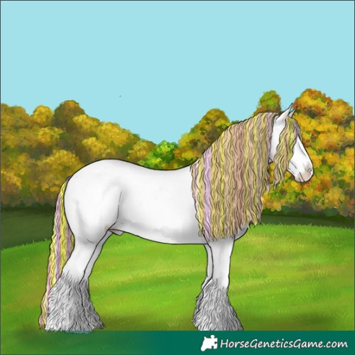 Horse Color:Painted Silver Grullo Ice Appaloosa 