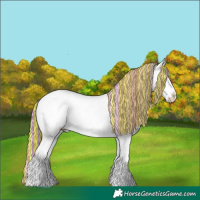 Horse Color:Painted Silver Grullo Ice Appaloosa