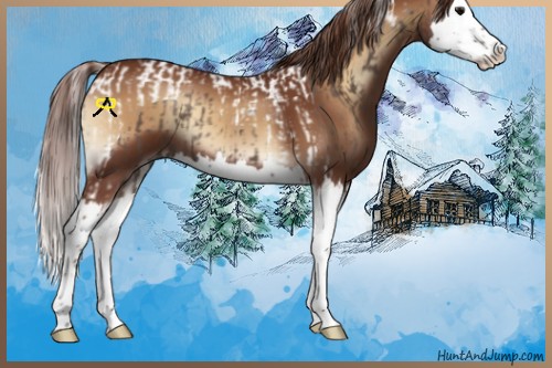 Horse Color:Silver Black Splash Tobiano  and Red Onyx Splash 