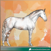 Horse Color:Gray White Spotted Gold Champagne Tobiano 