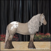 Horse Color:Silver Grullo Appaloosa 