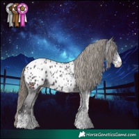 Horse Color:White Spotted Smoky Black Blanket 