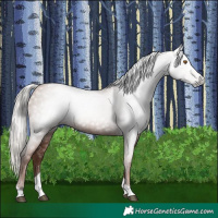 Horse Color:Gray Silver Black Pearl Tobiano