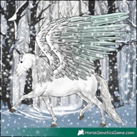 Horse Color:Silver Grullo Near Leopard 