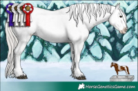 Horse Color:Silver Grullo Sabino Tobiano Near Fewspot