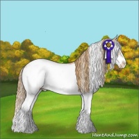 Horse Color:Chestnut Pearl Sabino Frame 