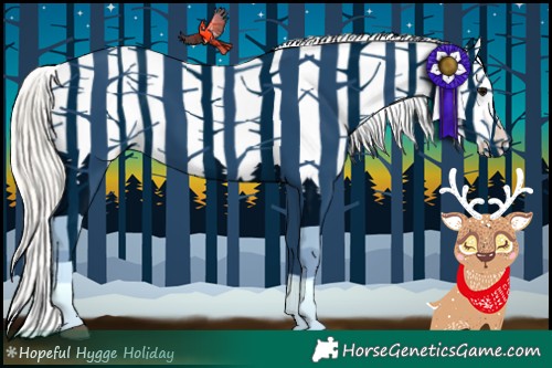 Horse Color:Silver Grullo Roan Appaloosa 