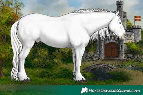 Horse Color:White Spotted Silver Smoky Grullo Pearl Sabino Appaloosa 