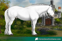 Horse Color:White Spotted Silver Smoky Grullo Pearl Sabino Near Leopard 